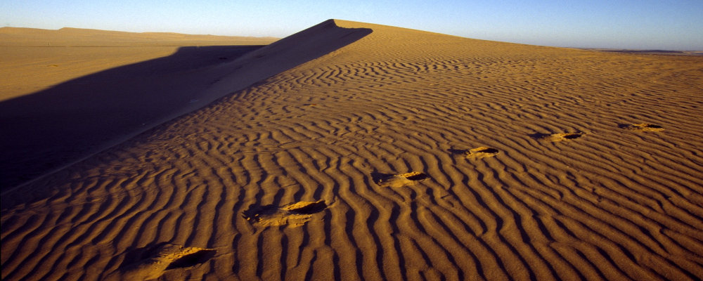 Footprints in dunes.